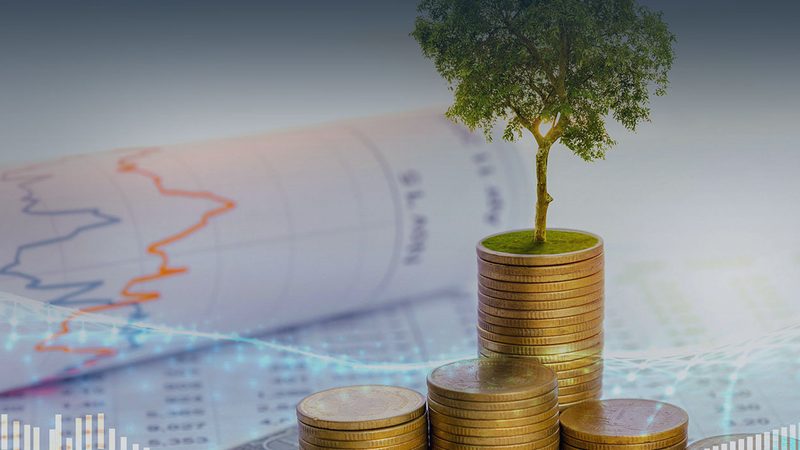 企业如何通过人力资源管理咨询提升组织效能**